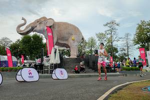 BIB: 
                            <button type="button" onclick="openModal(26528770)" class="btn btn-primary btn-sm float-right btn-popup" data-toggle="modal" data-target=".modal-high-quality">
                        <i class="fas fa-shopping-cart"></i> Add to Cart
                    </button>
                                            <button type="button" onclick="isThisMe(26528770, true)" class="btn btn-success btn-sm float-right btn-popup btn-isme hidden" data-toggle="tooltip" data-placement="bottom" title="นี่คือรูปของคุณใช่ไหม คลิกที่นี่เพื่อเอาเข้าอัลบั้ม">
                        <i class="fas fa-plus"></i> Add to album
                    </button>
                    <button type="button" onclick="isThisMe(26528770, false)" class="btn btn-warning btn-sm float-right btn-popup btn-isnotme hidden">
                        <i class="fas fa-ban"></i> Remove from album
                    </button>